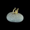 White Opal Earrings Sleek Hoops Gold Plated Jewelry Display Shot - Prop Shot - Lefkara Silver